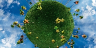 The Gamesplanet Eco Tags