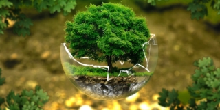 UNEP – United Nations Environment Programme