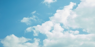 IPCC – Climate Change 2022 : Mitigation