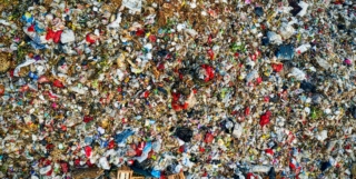 UNEP – Food Waste Index Report