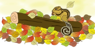 SOCIÉTÉ FRANÇAISE D’ECOLOGIE – Have representations of nature become simpler in the last 70 years?