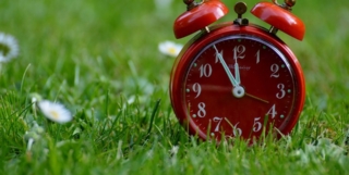 Ecological Awakening