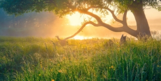 ANTICIPLAY – Digital Games After Climate Change – 2022