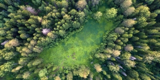 PLAYING FOR THE PLANET – Green Game Jam Player Survey – 2022